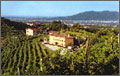 Cartizze wine area
