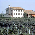 The Lison-Pramaggiore wine area
